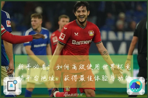 新手必看：如何高效使用世界杯竞猜平台地址，获得最佳体验与功能介绍