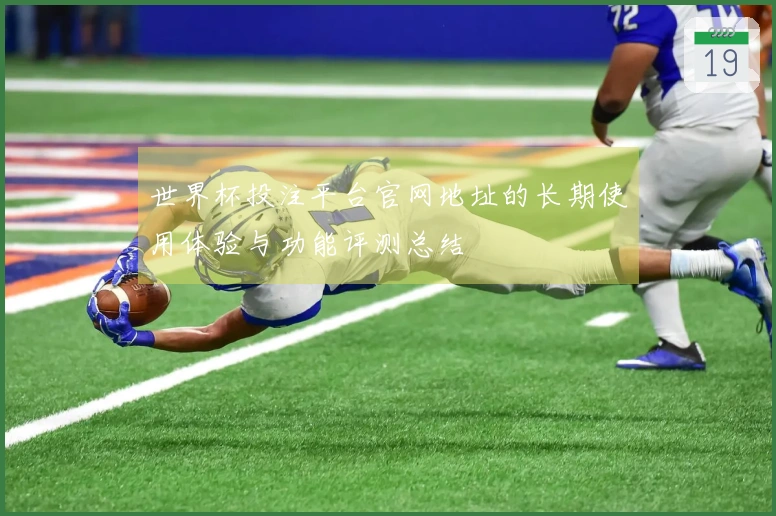 世界杯投注平台官网地址的长期使用体验与功能评测总结
