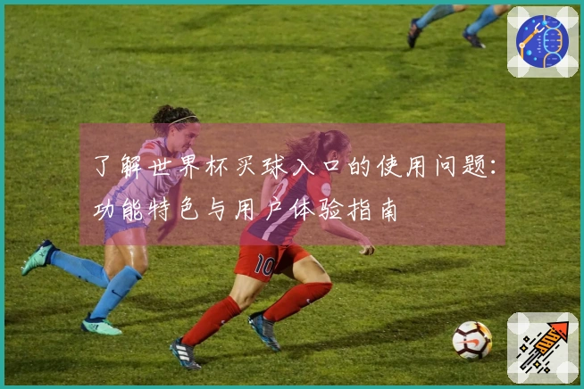 了解世界杯买球入口的使用问题：功能特色与用户体验指南