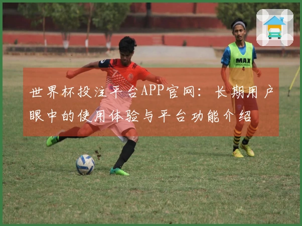 世界杯投注平台APP官网：长期用户眼中的使用体验与平台功能介绍