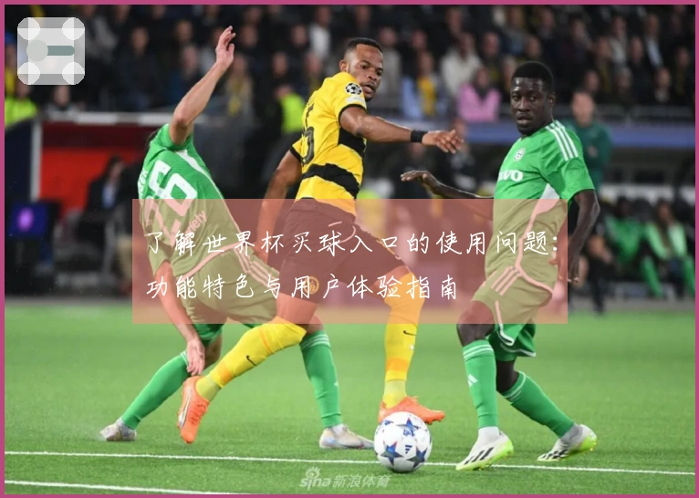 了解世界杯买球入口的使用问题:功能特色与用户体验指南