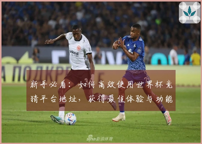 新手必看：如何高效使用世界杯竞猜平台地址，获得最佳体验与功能介绍