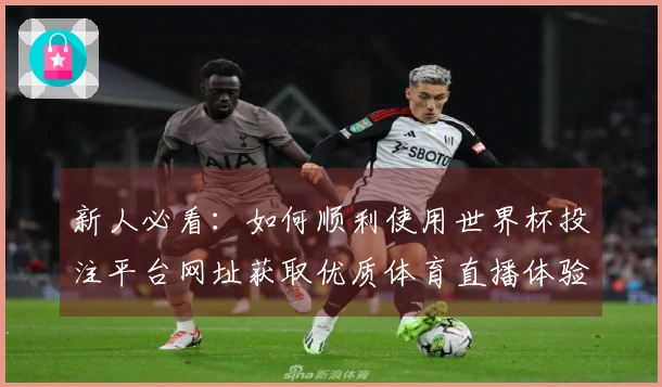 新人必看：如何顺利使用世界杯投注平台网址获取优质体育直播体验