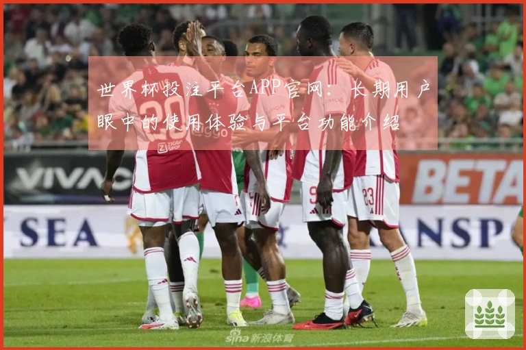世界杯投注平台APP官网：长期用户眼中的使用体验与平台功能介绍