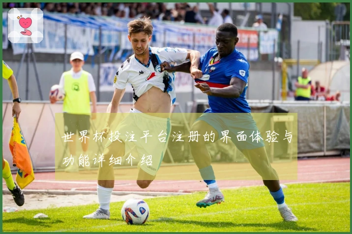 世界杯投注平台注册的界面体验与功能详细介绍