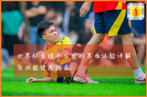 世界杯竞猜平台官网界面体验详解与功能使用指南