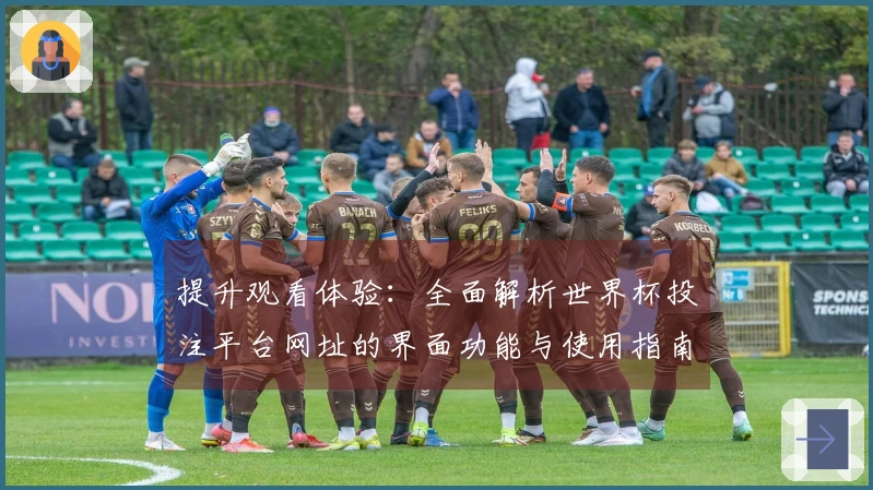 提升观看体验：全面解析世界杯投注平台网址的界面功能与使用指南